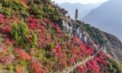 Cina: panorama della gola di Wuxia a Chongqing (2)