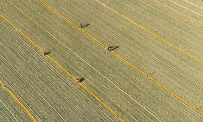 Cina: rapporto, regioni a nord sono chiave per tutela terreni agricoli