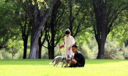 Cina: Pechino, copertura forestale raggiungerà il 45% nel 2025