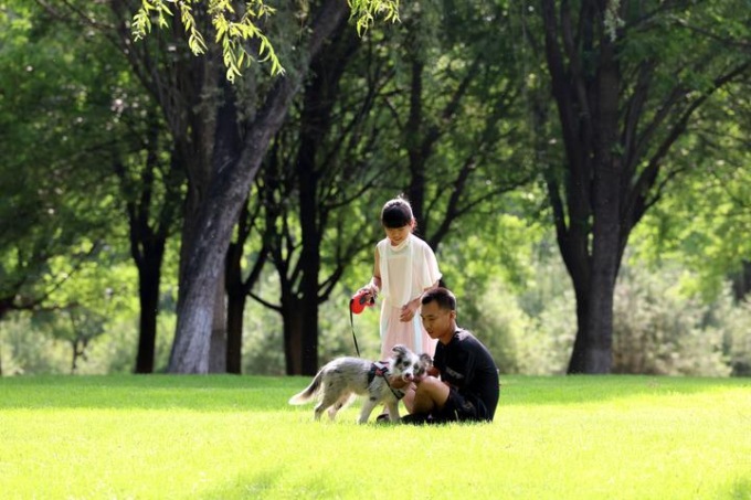 Cina: Pechino, copertura forestale raggiungerà il 45% nel 2025