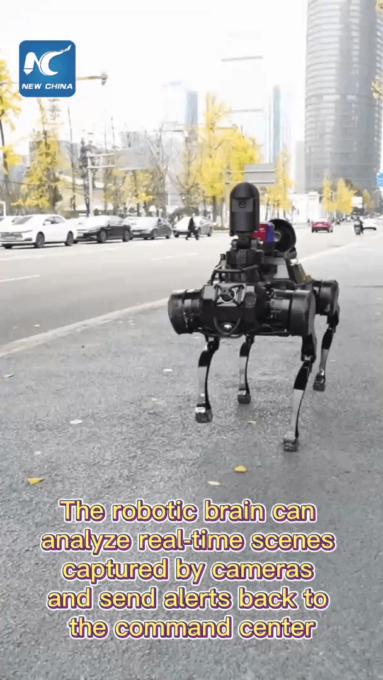 Cina: cani poliziotto robotici assistono pattugliamenti a Chengdu