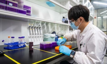 Cina: scienziati compiono progressi chiave in genomica di canna da zucchero
