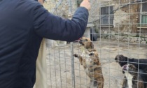 TERRACINA: CANI, UNA GIORNATA SPECIALE CON LA BENEDIZIONE