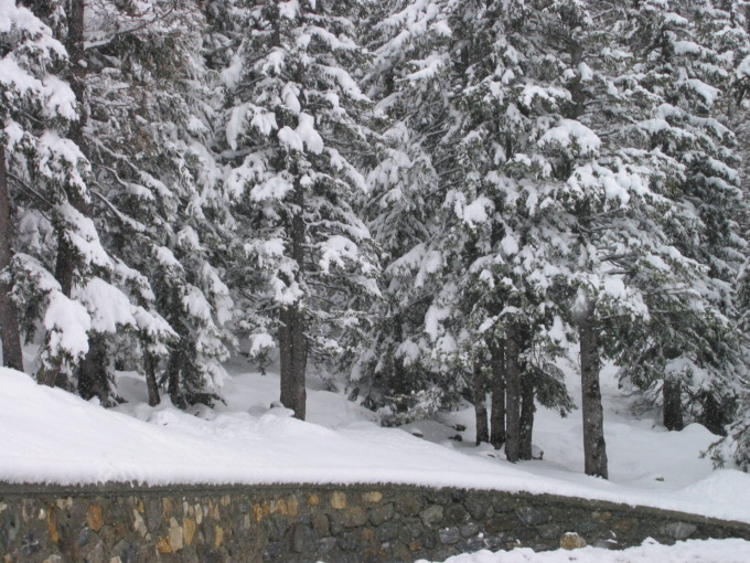Neve e gelo, risveglio sotto lo zero anche in provincia di Latina e Frosinone