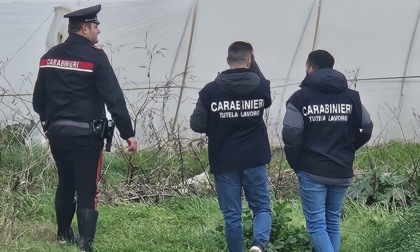 Sfruttamento del lavoro, in Cassazione l'istanza di scarcerazione per i Lovato