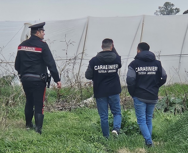 Sfruttamento del lavoro, in Cassazione l’istanza di scarcerazione per i Lovato