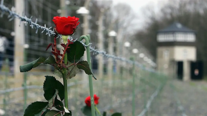 Giornata della Memoria, iniziative per non dimenticare a Latina e Frosinone