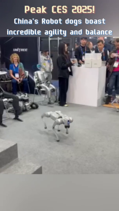Cina: CES 2025, cani robot nazionali mostrano agilità, equilibrio incredibili