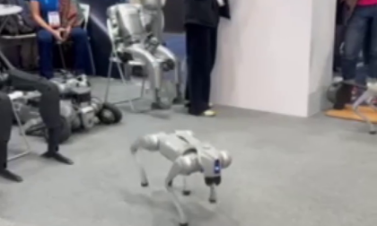 Cina: CES 2025, cani robot nazionali mostrano agilità, equilibrio incredibili