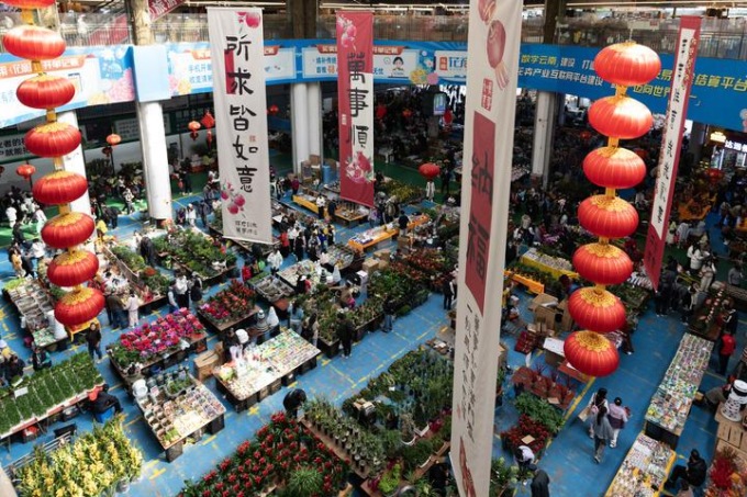 Cina: mercato dei fiori più grande dell’Asia registra boom attività nel 2024