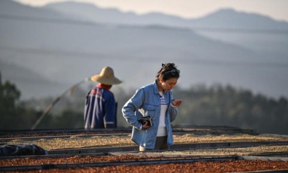 Cina: esportazione di caffè dallo Yunnan aumentata del 358% nel 2024