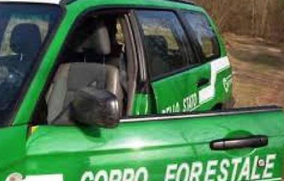 Contrasto al fenomeno del bracconaggio, il bilancio