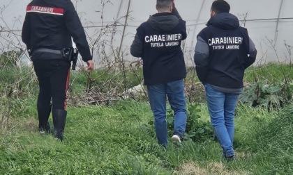 Controlli in un'azienda, denunciate tre persone