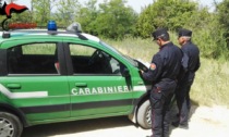 Sora, ritrovato dai carabinieri il 70enne scomparso