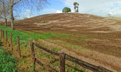 Prosegue il "cammino" di Francisco Sancho