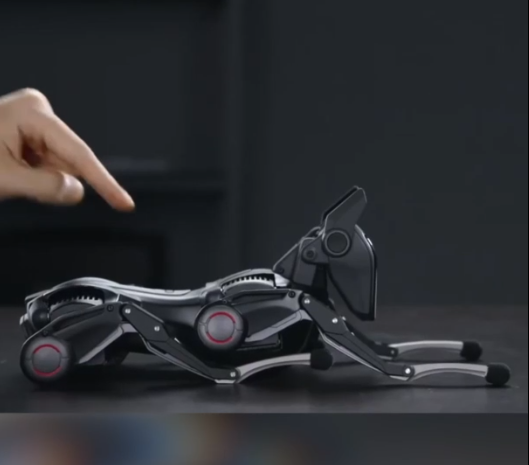 Cina: azienda sviluppa realistico cane robotico, compagno futuristico