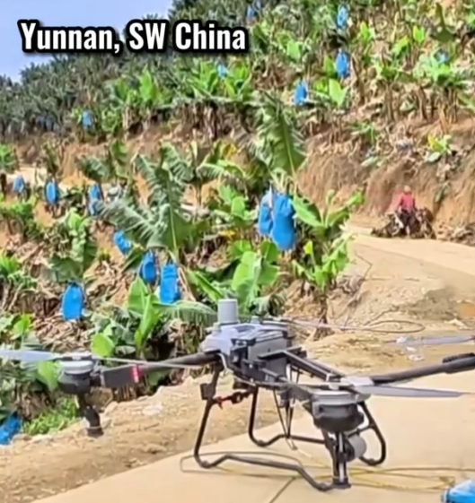Cina: droni modernizzano agricoltura