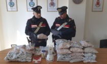 Oltre quattro chili di bulbi di papavero in auto, arrestati tre indiani