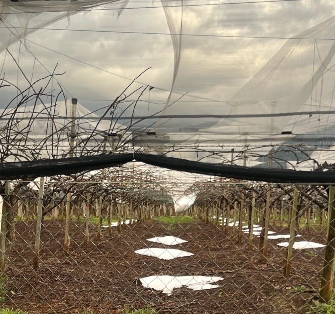 Maltempo, continua anche oggi l’allerta gialla