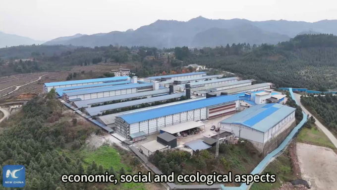 Cina: ragazza torna nel villaggio natale per trasformarlo con agricoltura moderna