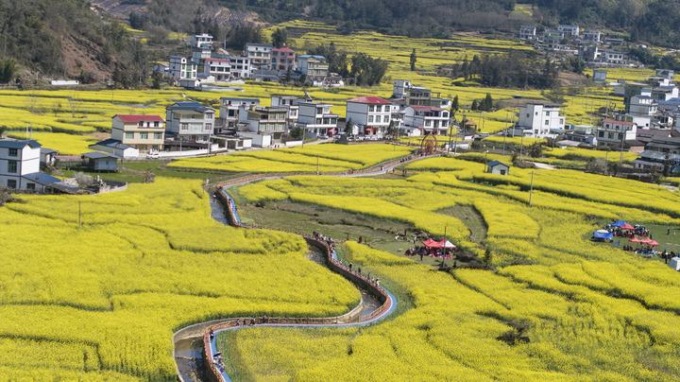 Cina: fioritura primaverile in diverse aree del Paese