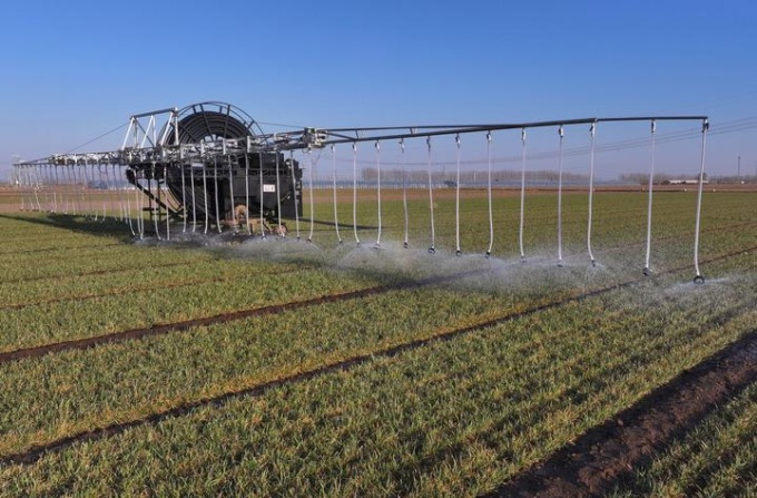 Cina: Hebei, agricoltura primaverile a Tangshan (3)