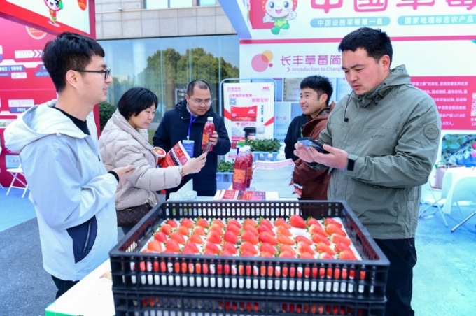 Cina-Italia: come una piccola fragola può connettere il mondo (1)