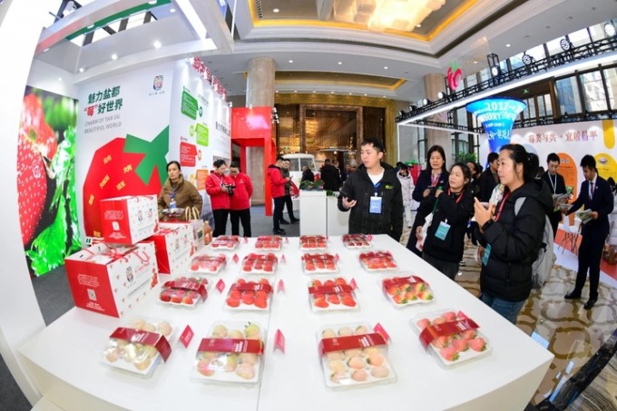 Cina-Italia: come una piccola fragola può connettere il mondo (3)