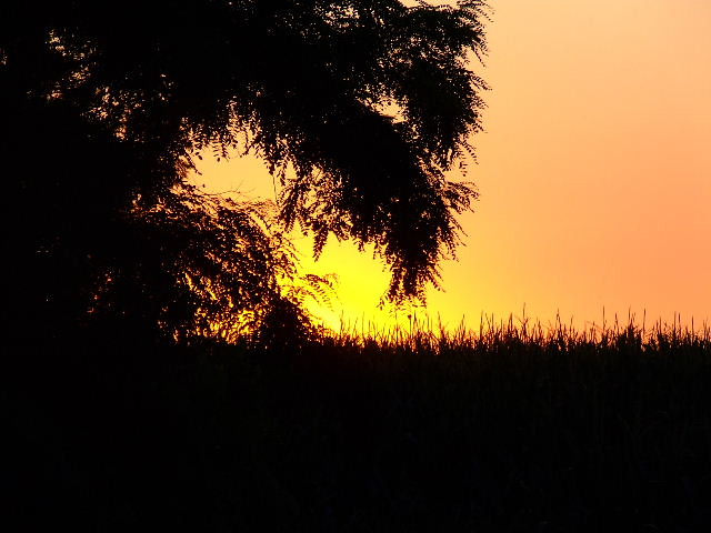 Giornata del paesaggio, il concorso fotografico