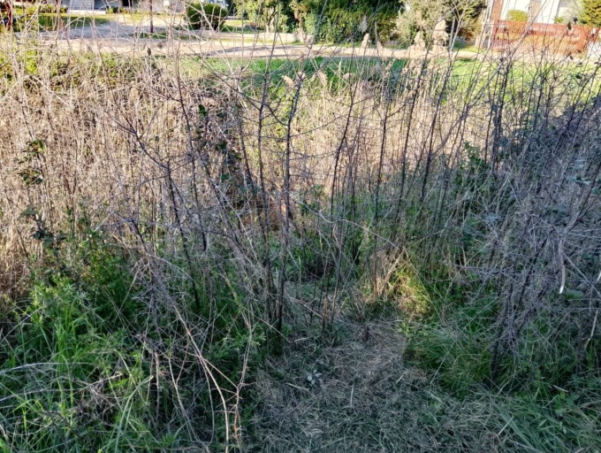 Cadavere nel canale, si tratta dell’uomo scomparso ieri sera