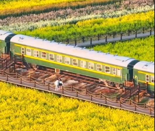 Cina: ammiriamo distesa di fiori di colza nello Yunnan