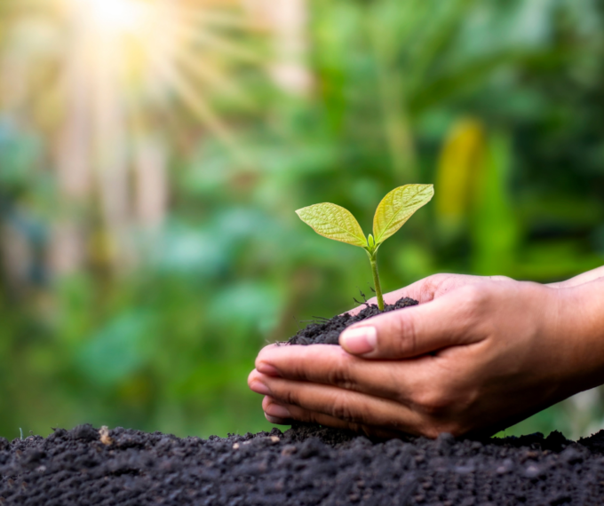 Cina: accelera creazione di moderno sistema di monitoraggio ecologico, ambientale