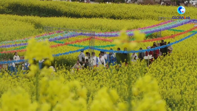Cina: fiori di colza stimolano turismo locale nel Guizhou
