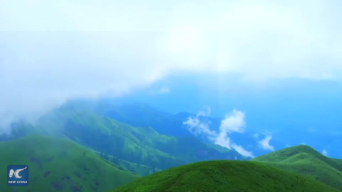 Cina: economia floreale, storia del successo rurale da 49,2 mln dollari nel Jiangxi