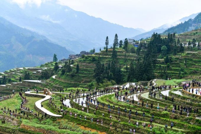 Cina: evento culturale nei campi terrazzati a Congjiang