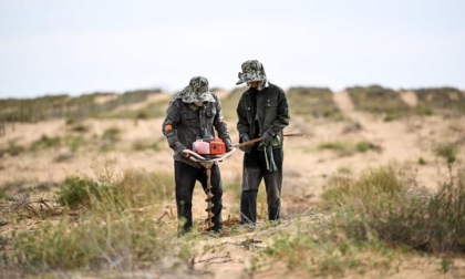 Cina: Mongolia Interna, autorità lavorano per rinverdimento deserto (1)