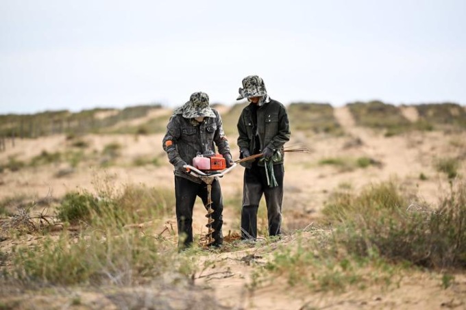 Cina: Mongolia Interna, autorità lavorano per rinverdimento deserto (1)