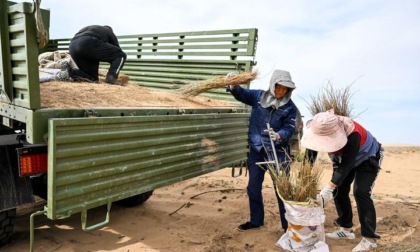 Cina: Mongolia Interna, autorità lavorano per rinverdimento deserto (2)
