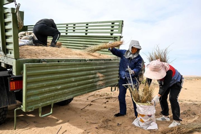 Cina: Mongolia Interna, autorità lavorano per rinverdimento deserto (2)