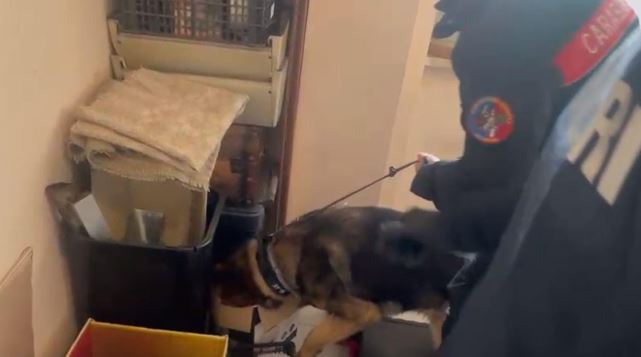 “Case” dello spaccio e spari, controlli e perquisizioni nei quartieri Toscanini e Colosseo