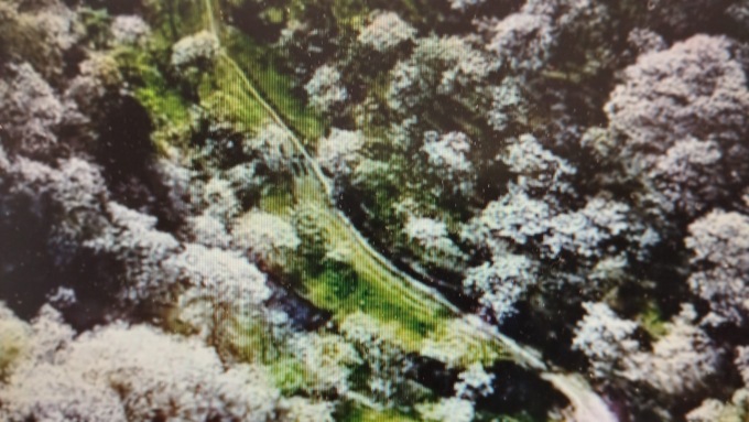 Cina: incantevole scenario primaverile sui monti a Chongqing