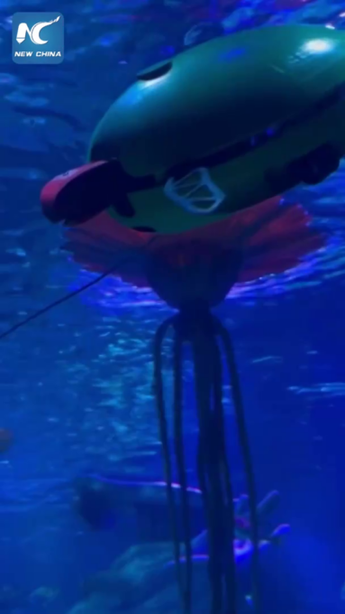 Cina: un’immersione nel futuro con creature marine bioniche