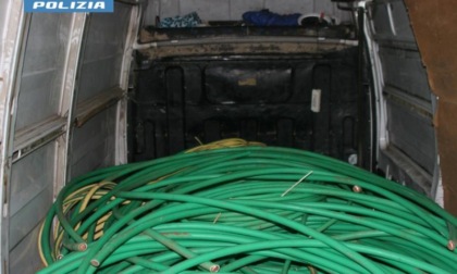 Rubati oltre 4 mila chili di "oro rosso", tre arresti