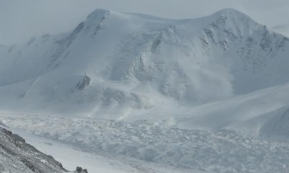 Cina: studio decifra riassorbimento nutrienti nelle piante sull'altopiano Qinghai-Tibet