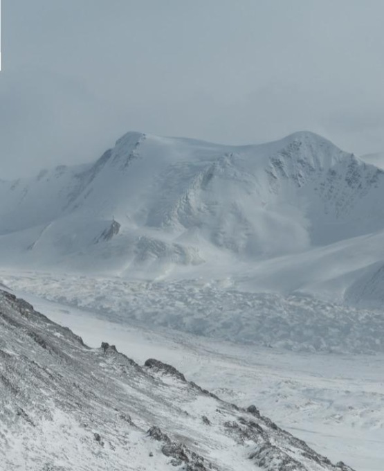Cina: studio decifra riassorbimento nutrienti nelle piante sull’altopiano Qinghai-Tibet