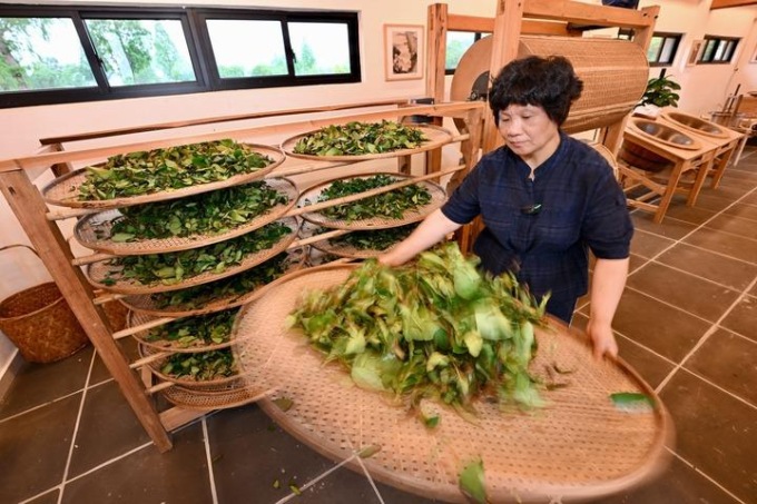 Cina: Fujian, antica cultura del tè di Wuyishan (2)