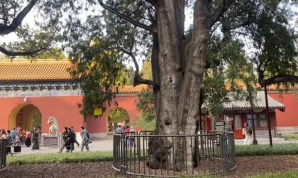 Cina: Pechino ospita oltre 7.000 specie