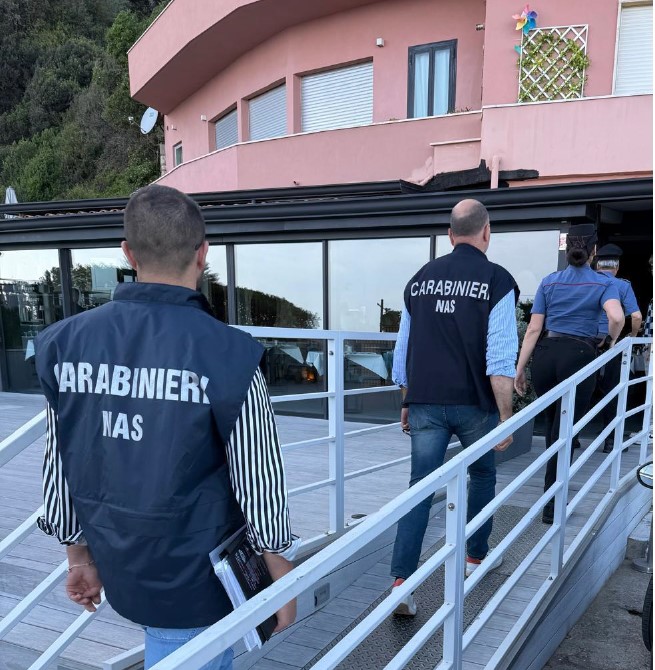 Controlli interforze in città