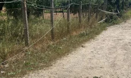 Inseguito dalla Polizia si schianta contro un palo e muore