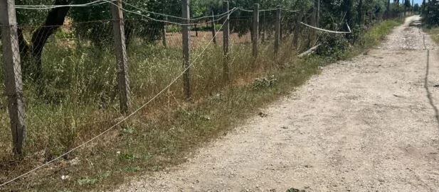 Inseguito dalla Polizia si schianta contro un palo e muore